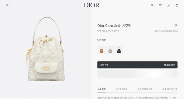 디* Caro 카로 스몰 버킷백