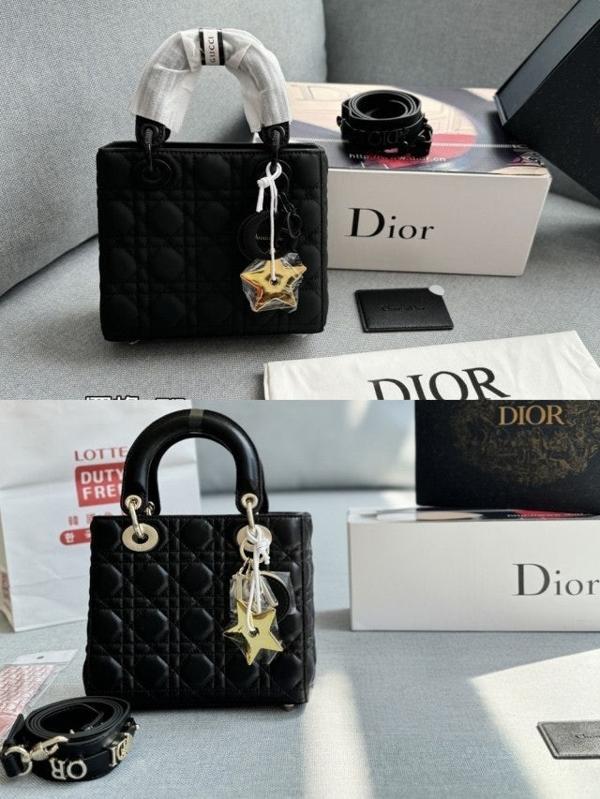 디* 레이디 20 스몰 (매트램스킨금장)