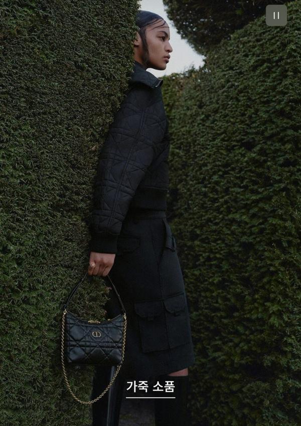 디* 고급 미스카로 디올링