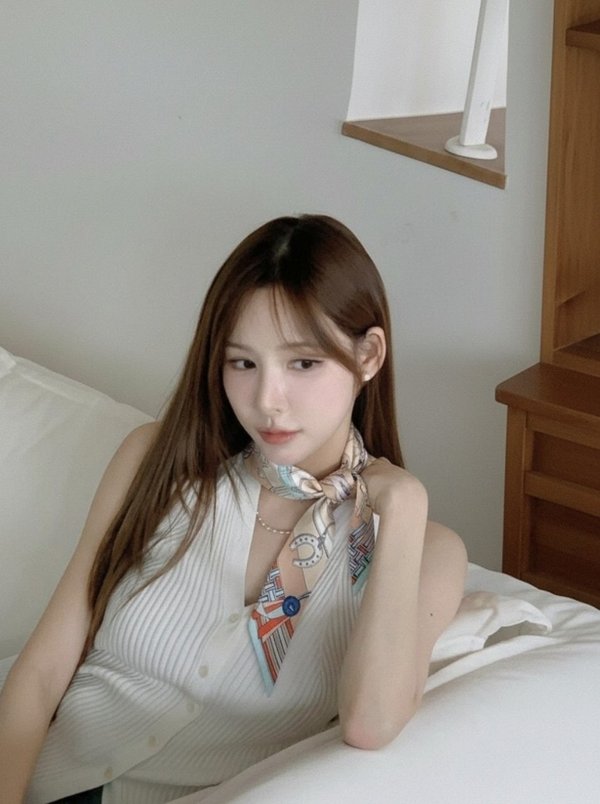에*** 페가수스 방도