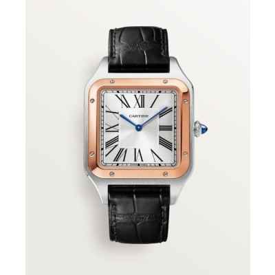 까*** 산토스 뒤몽