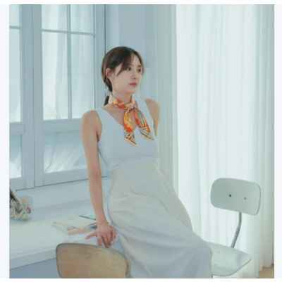 에*** 페가수스 방도